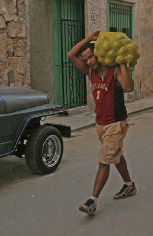 carrying_oranges_th_3eb841c.jpg