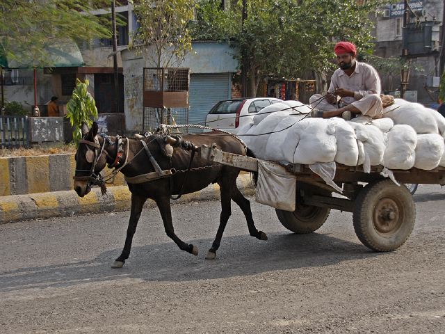 horse_cart_transport.jpg