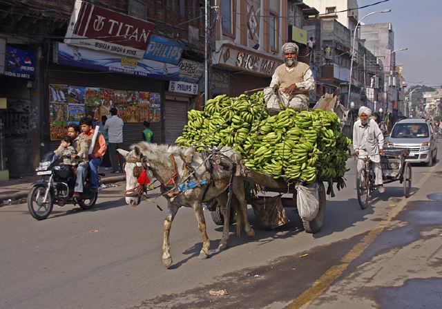 horse_drawn_banana_cart.jpg