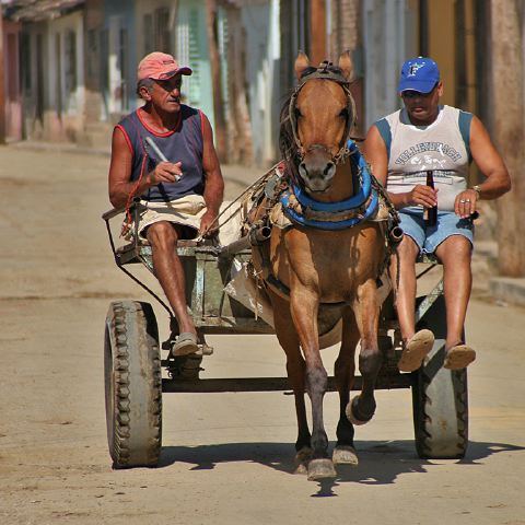 two_men_horse_cart.jpg