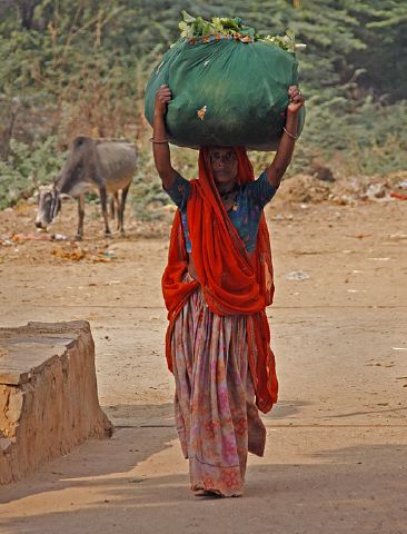 woman_carrying_green_bundle.jpg